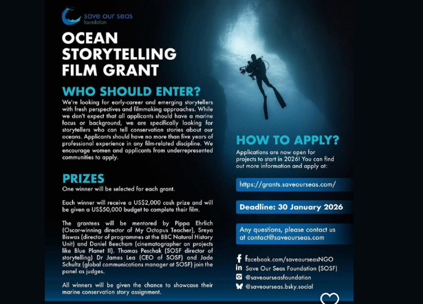 KCAA Level 2 Swimming Championship 2025 (47)